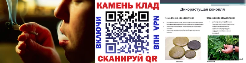 darknet Telegram Звенигород ГАШ Ice-O-Lator где купить наркоту