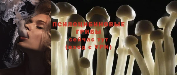 apvp Бронницы