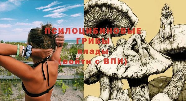 PSILOCYBIN Заволжск