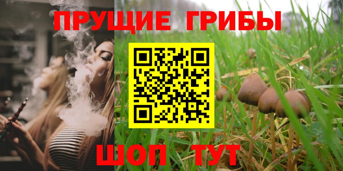 Галлюциногенные грибы GOLDEN TEACHER Звенигород